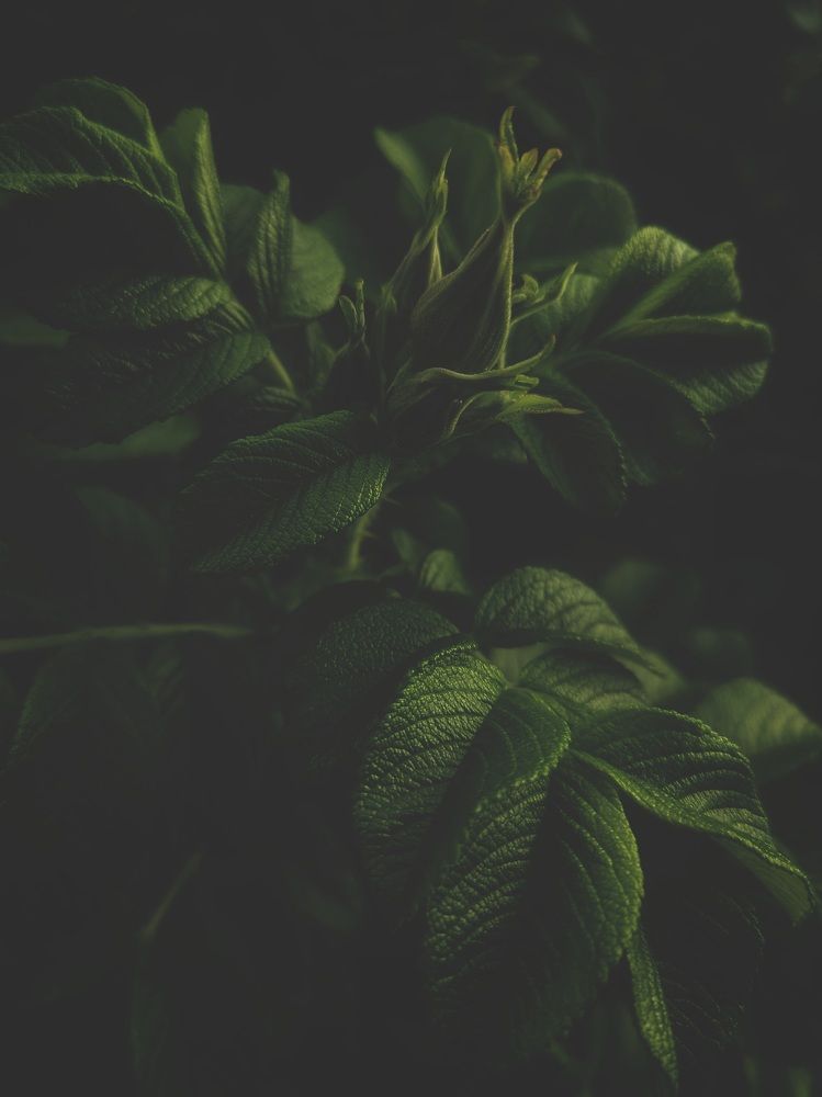 Photograph by Татьяна Сычёва