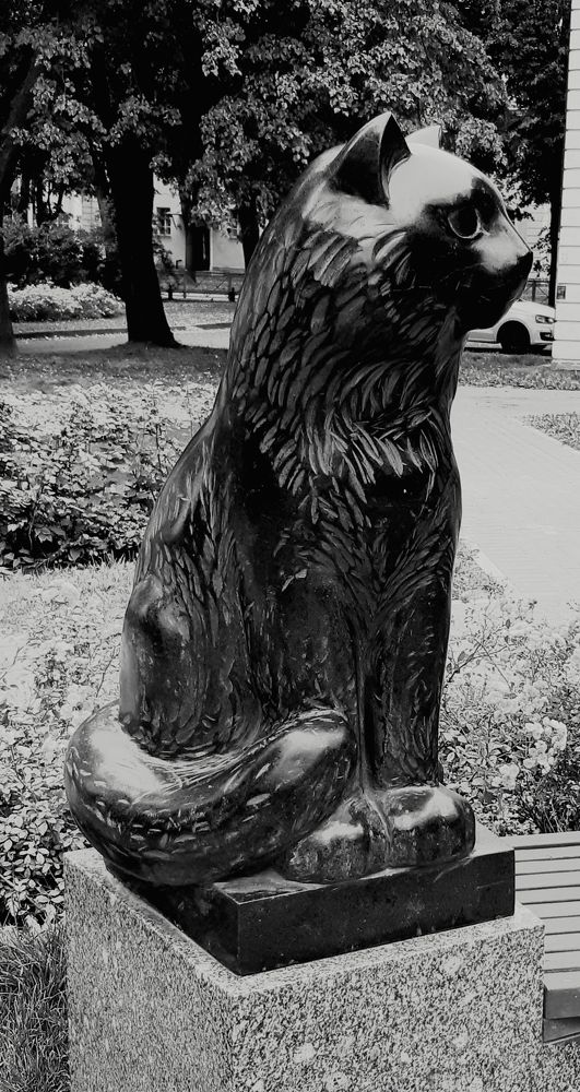 Photograph by Дмитрий Жуков