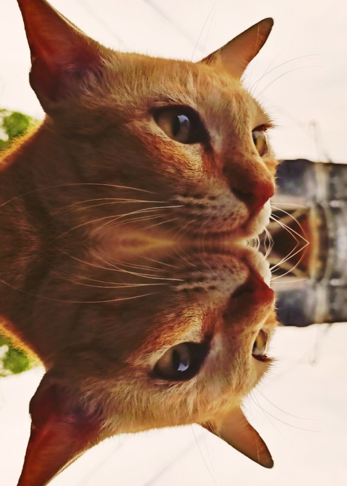 Photograph by Dilip kumar J Jdk