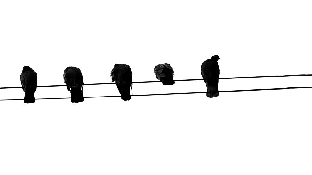 Фотография автора Майрануш Оганнисян