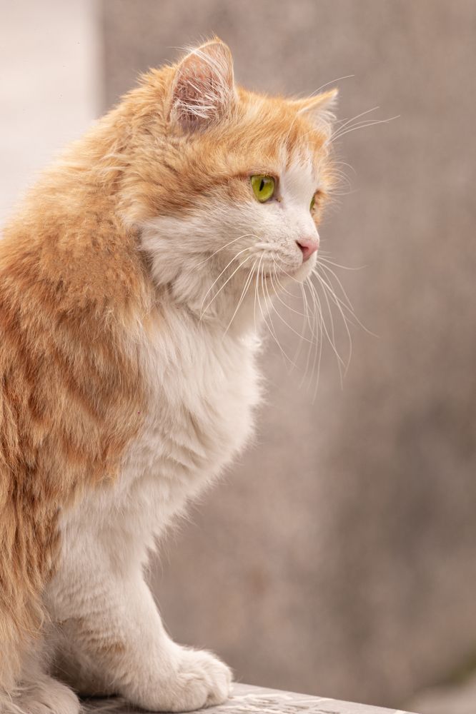 Photograph by Romina Moniri