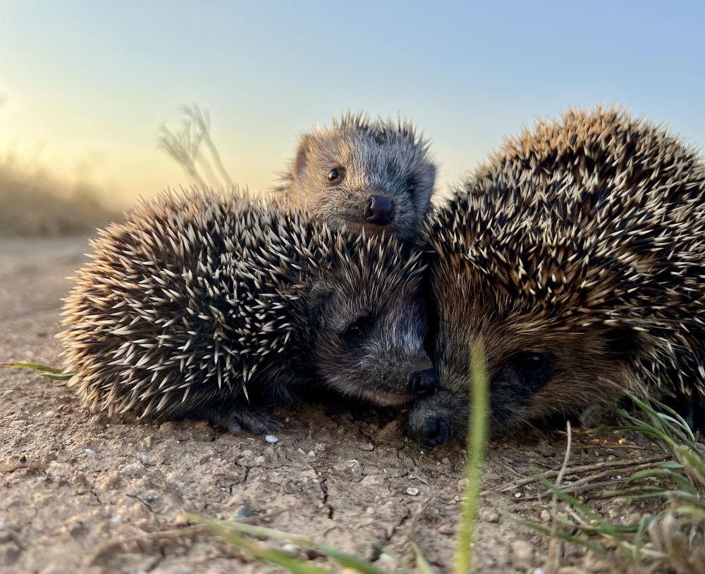 Photograph by Мария