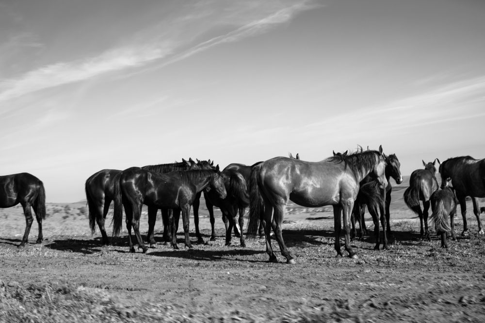 Photograph by Татьяна Скворцова