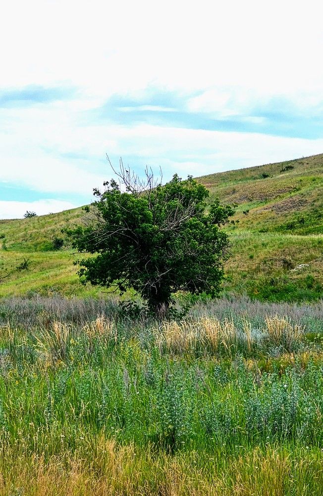 Тишина в одиночестве