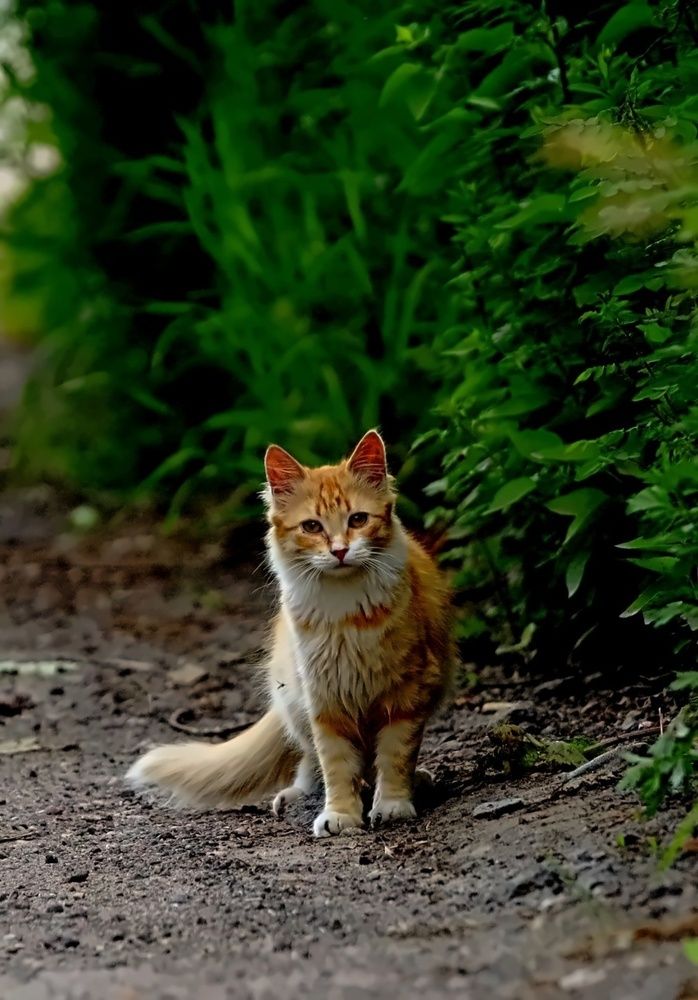 Photograph by Татьяна Слесарева