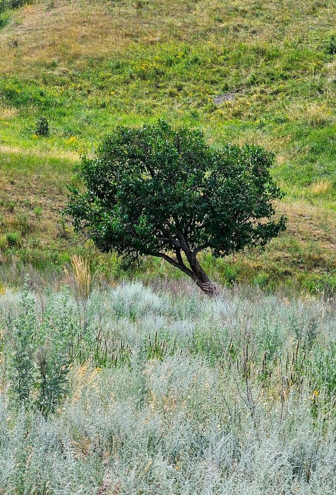 Photograph by Людмила Локтионова