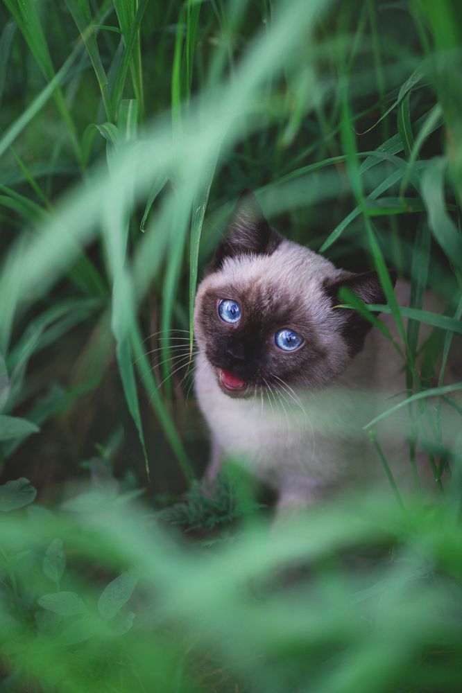 Photograph by Анна Фурса