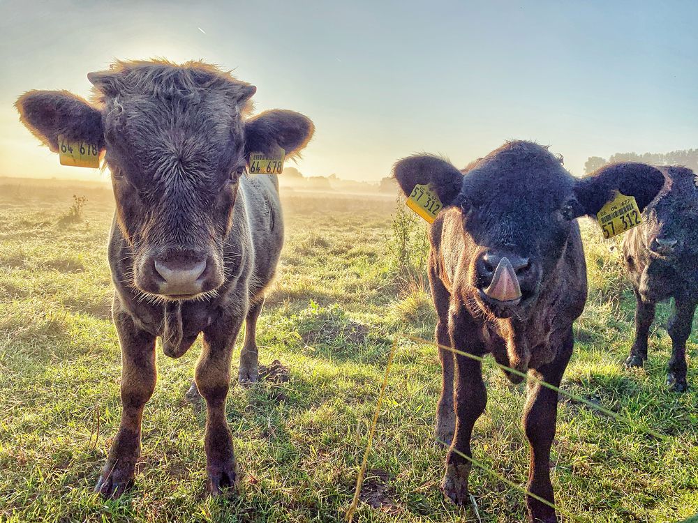 Photograph by Swetlana Lebedev