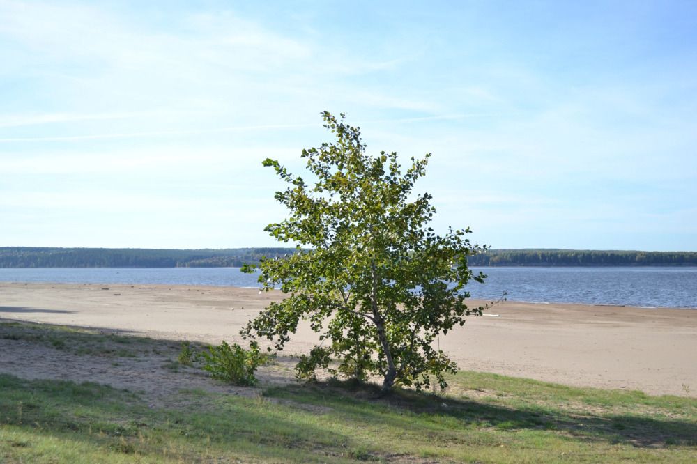 Photograph by Ксения Климова