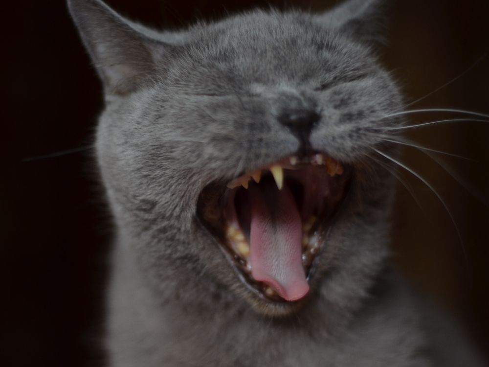 Photograph by Карина Дудатьева