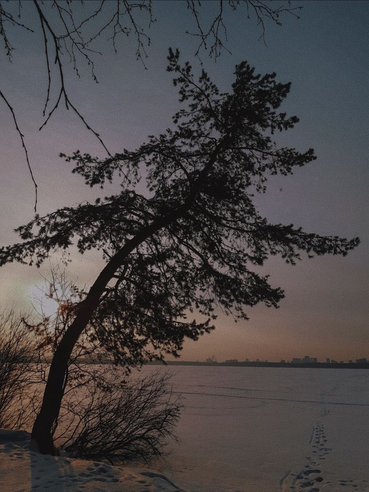 Photograph by Вера Романова