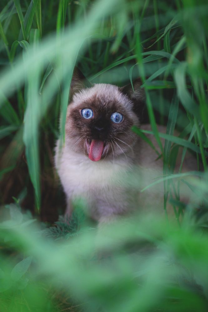 Photograph by Анна Фурса