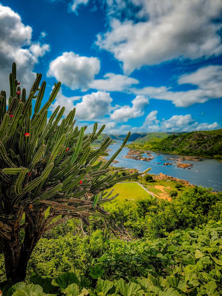 Фотография автора Walfrido Alexandre