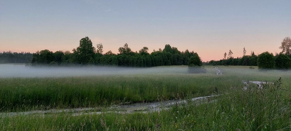 Photograph by Светлана Сипрова