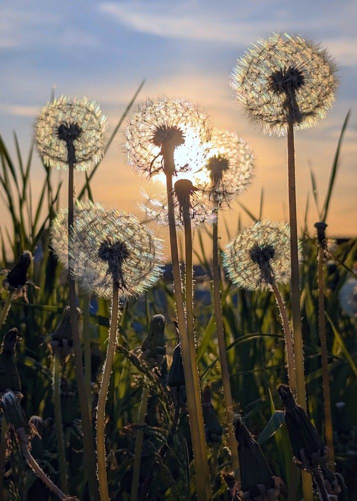 Photograph by Татьяна Серова