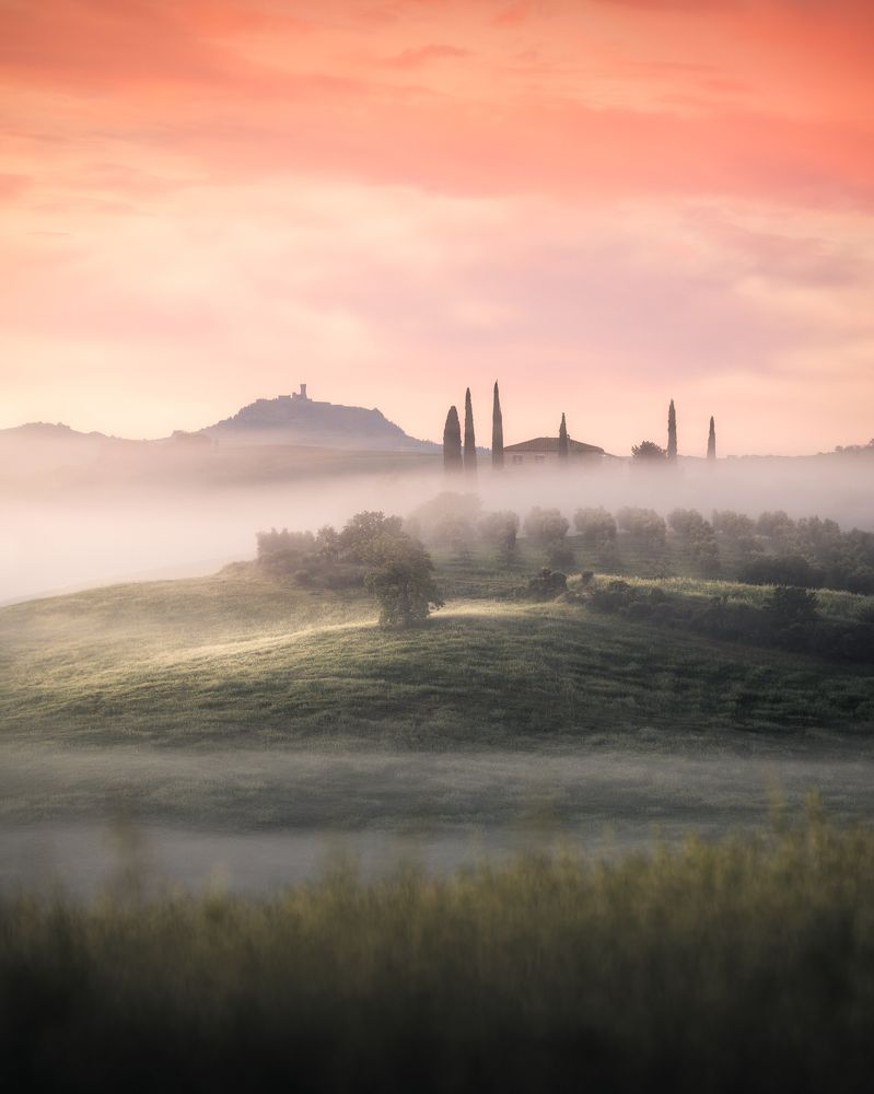 Фотография автора Niccolò Talenti