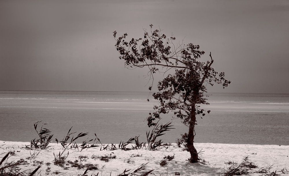 Photograph by Тимур Разиков