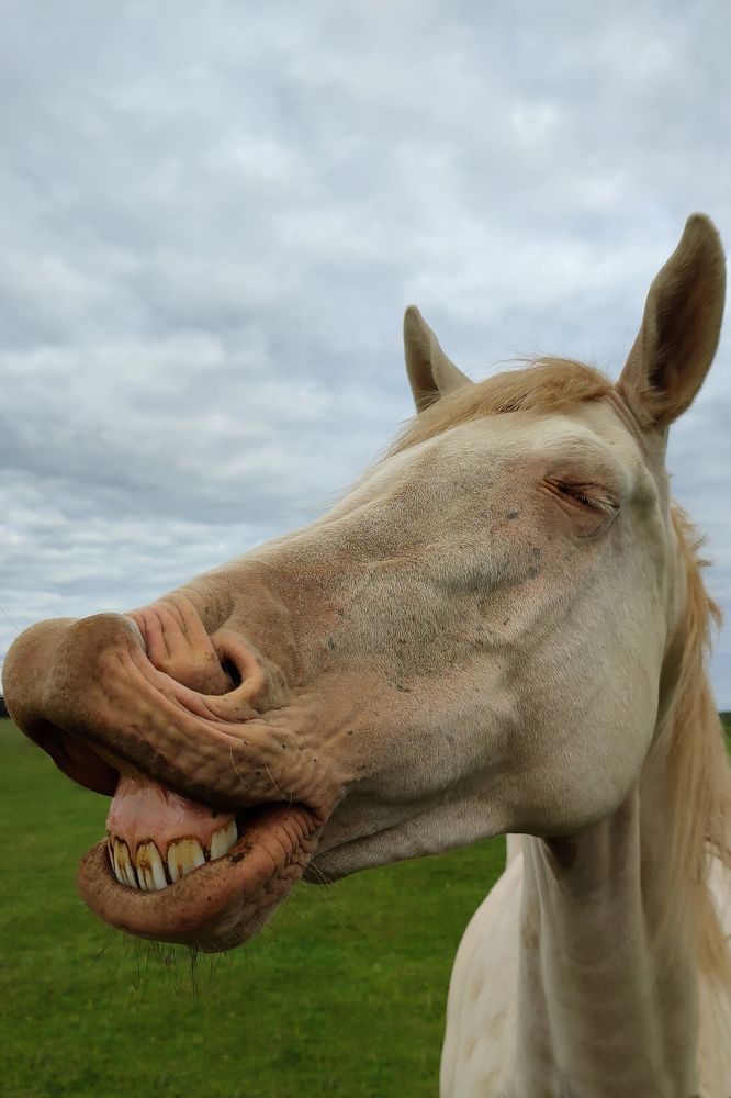 Photograph by Лолита Богачева