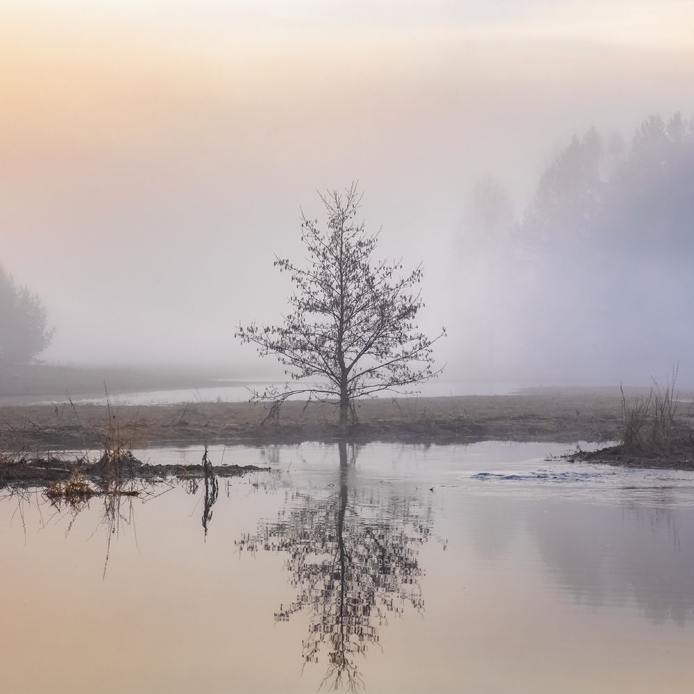 Photograph by Алексеев Дмитрий