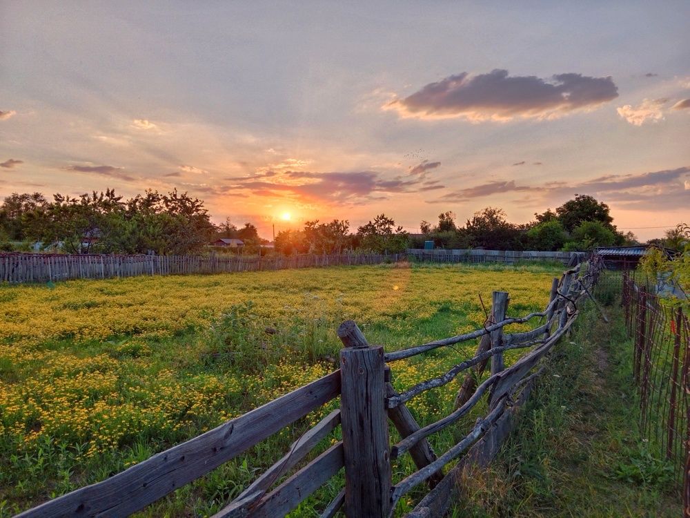 Закат над жёлтым полем