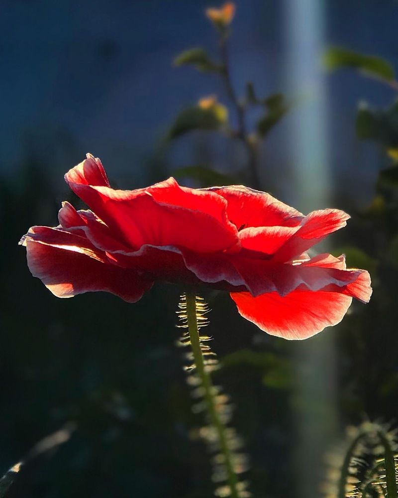 Photograph by Татьяна Волохова