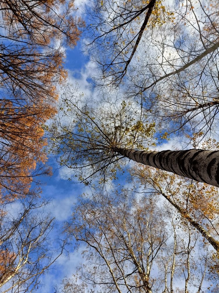 Фотография автора Татьяна Лука