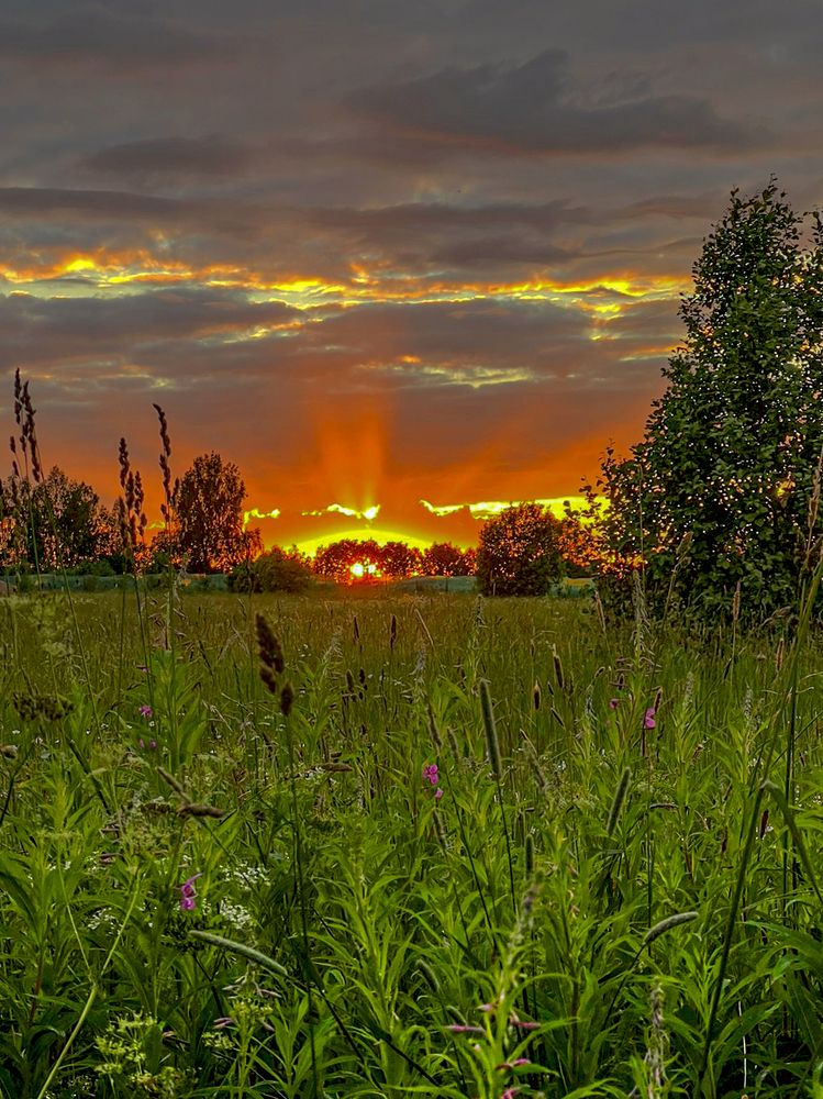 Photograph by Владимир Баулин