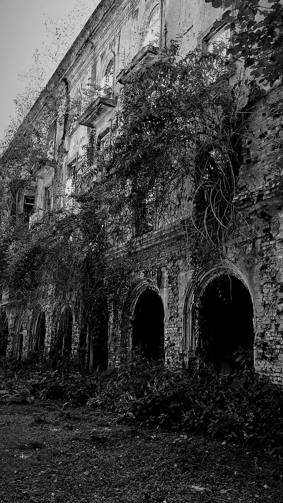 Photograph by Светлана Салмина