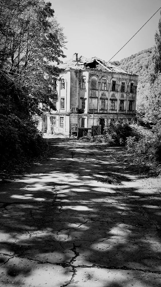 Photograph by Светлана Салмина