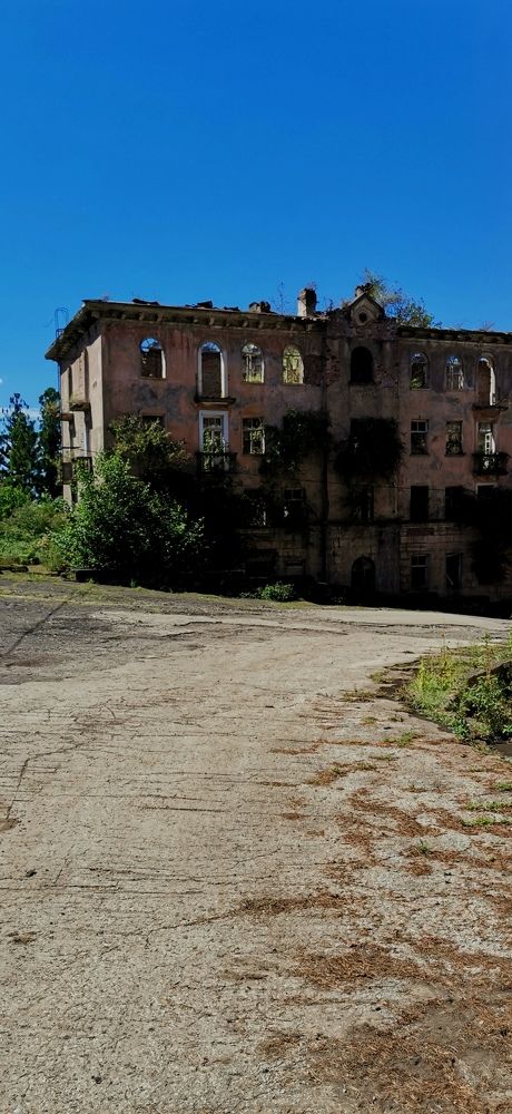 Photograph by Светлана Салмина