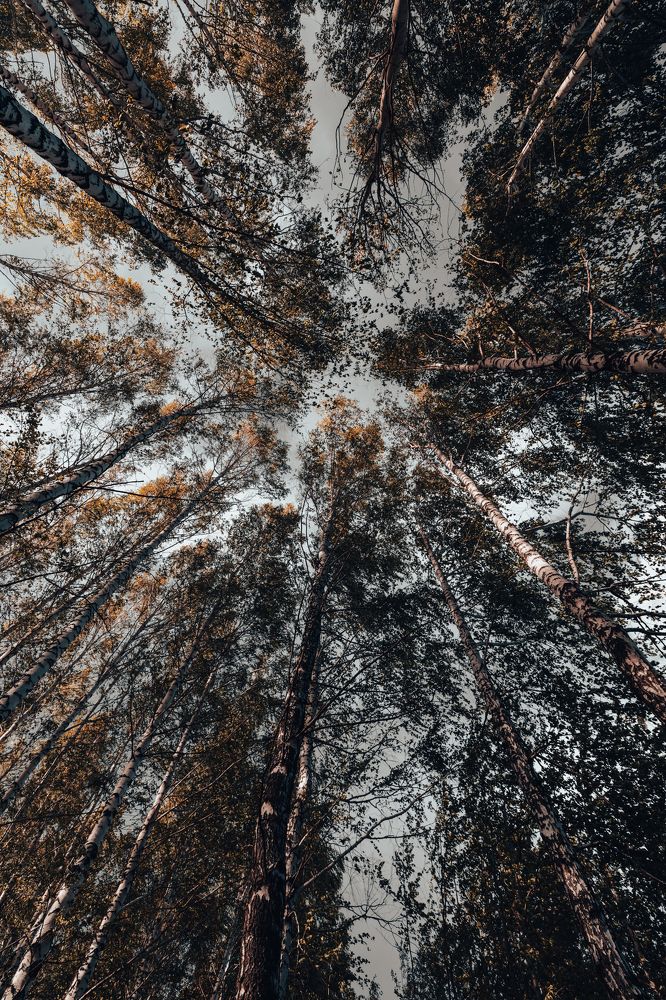 Photograph by Александр Евграфов