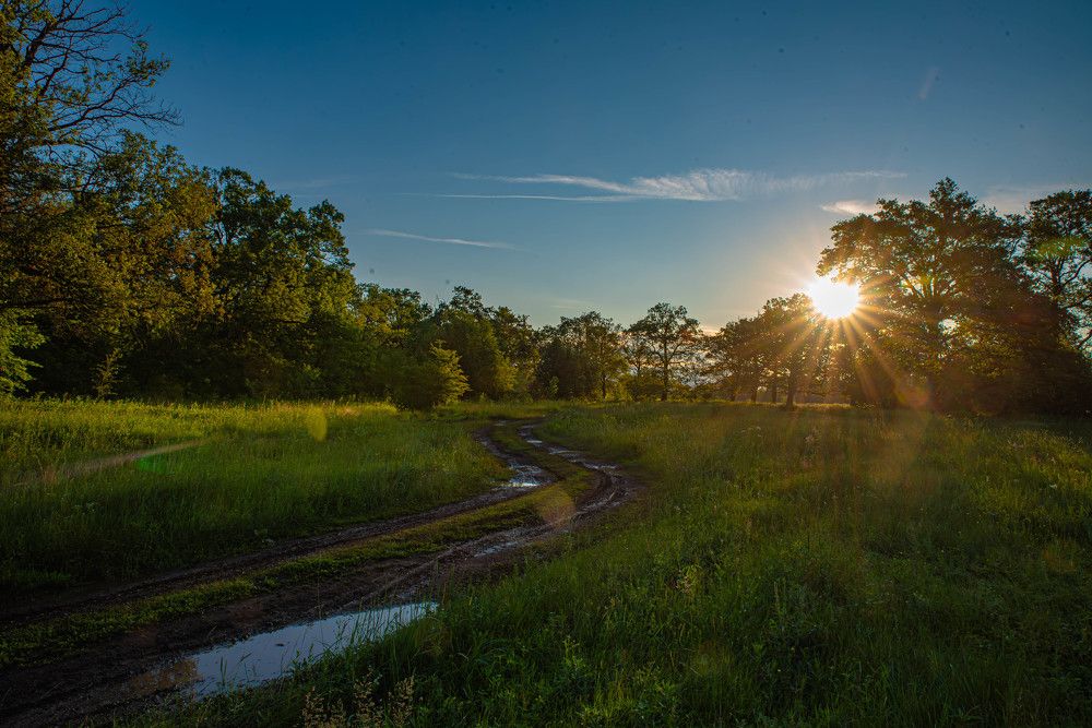 Фотография автора Sergey Smorchkov