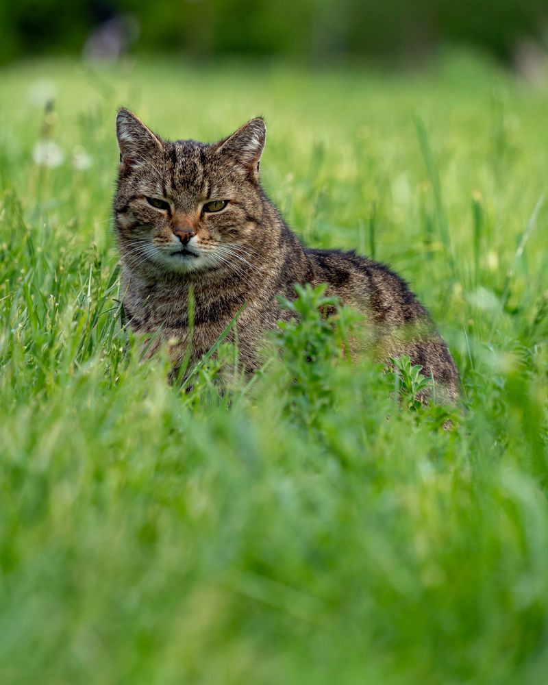 Photograph by Anton Leonchikov