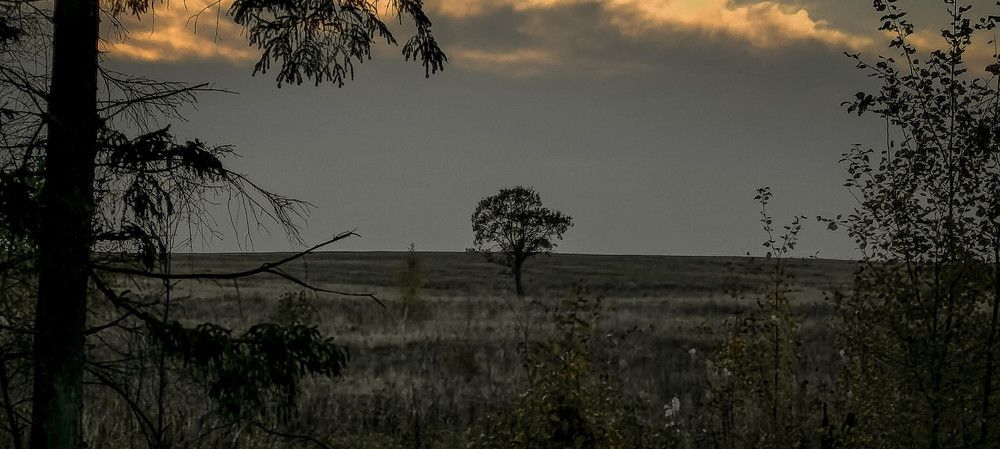 Фотография автора Евгений Андросов