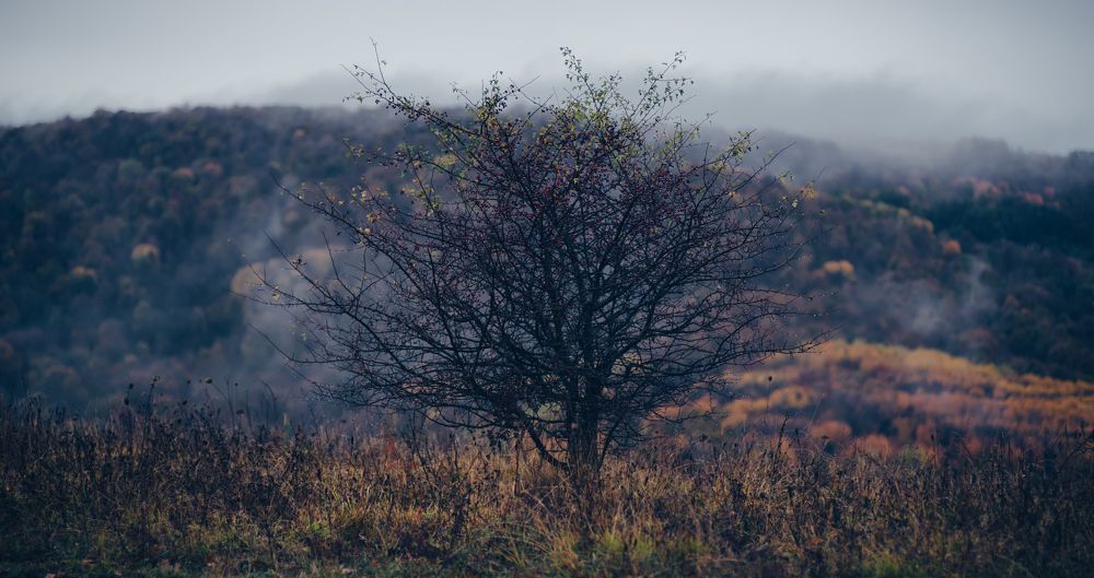 Photograph by Киблицкий Александр
