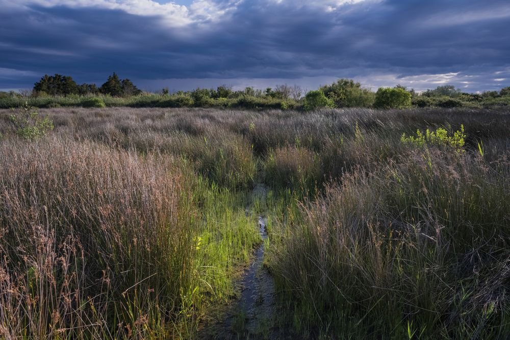 Photograph by Stephane Huybrechts