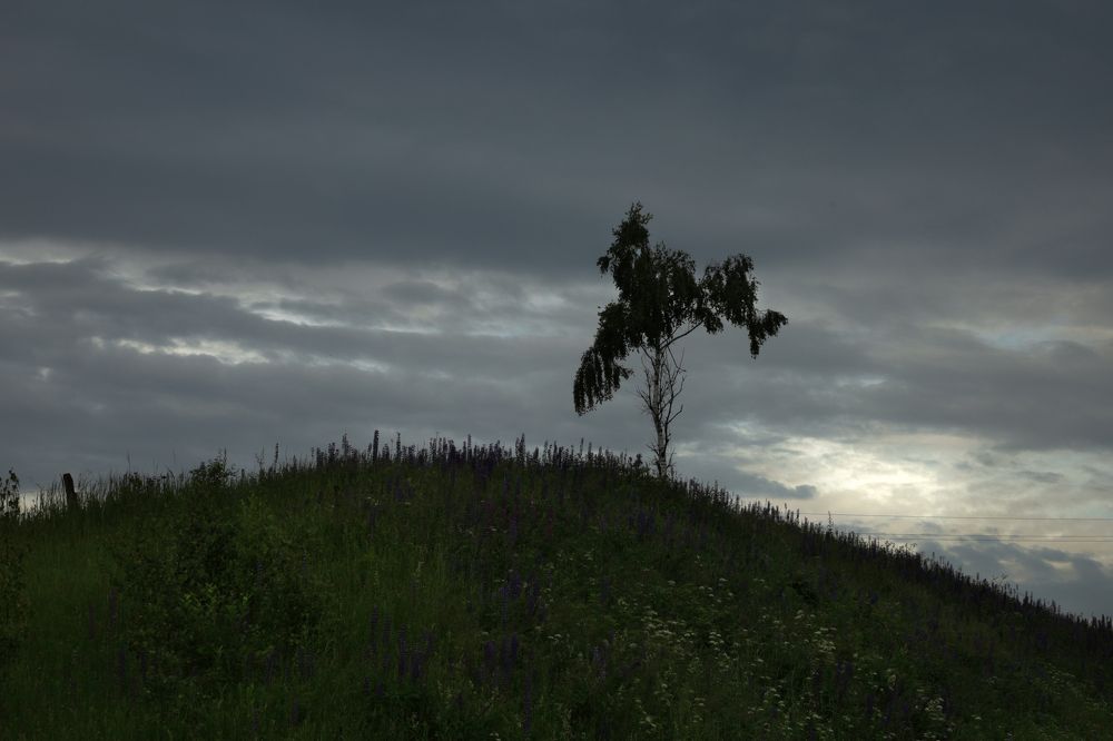 Перед грозой