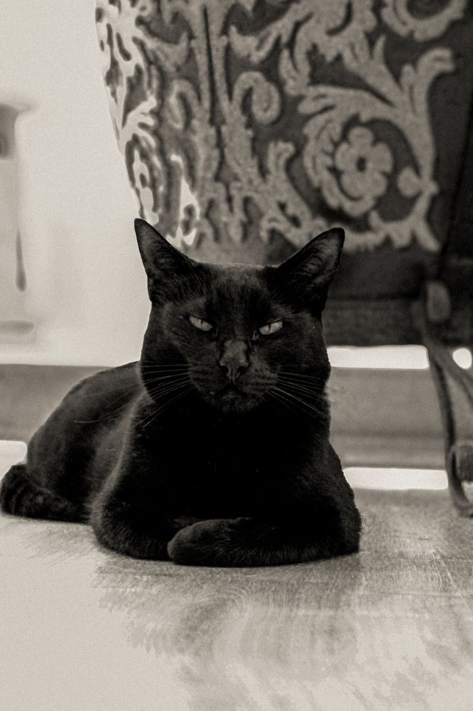 Фотография автора Jelena Bazenova