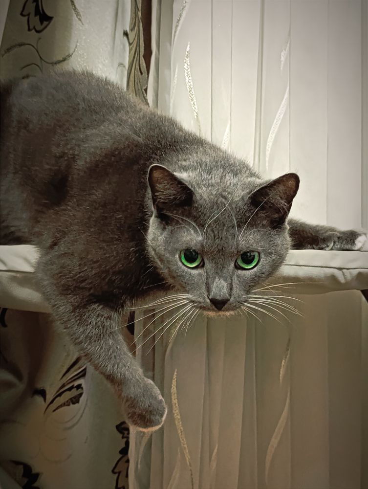 Photograph by Светлана Таркан