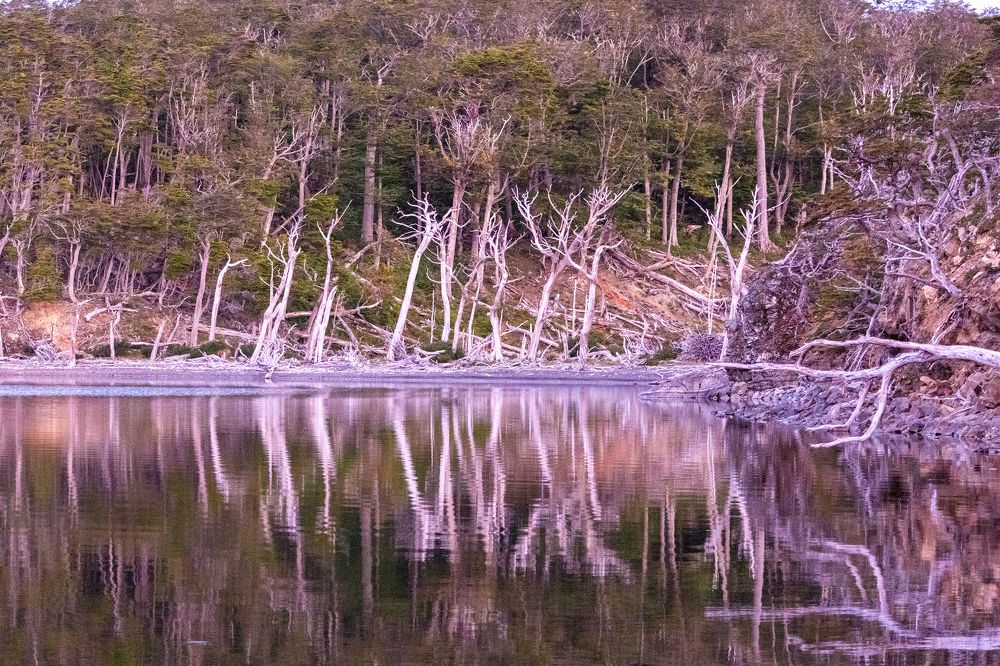 Photograph by Ignacio Alejandro Aguilar