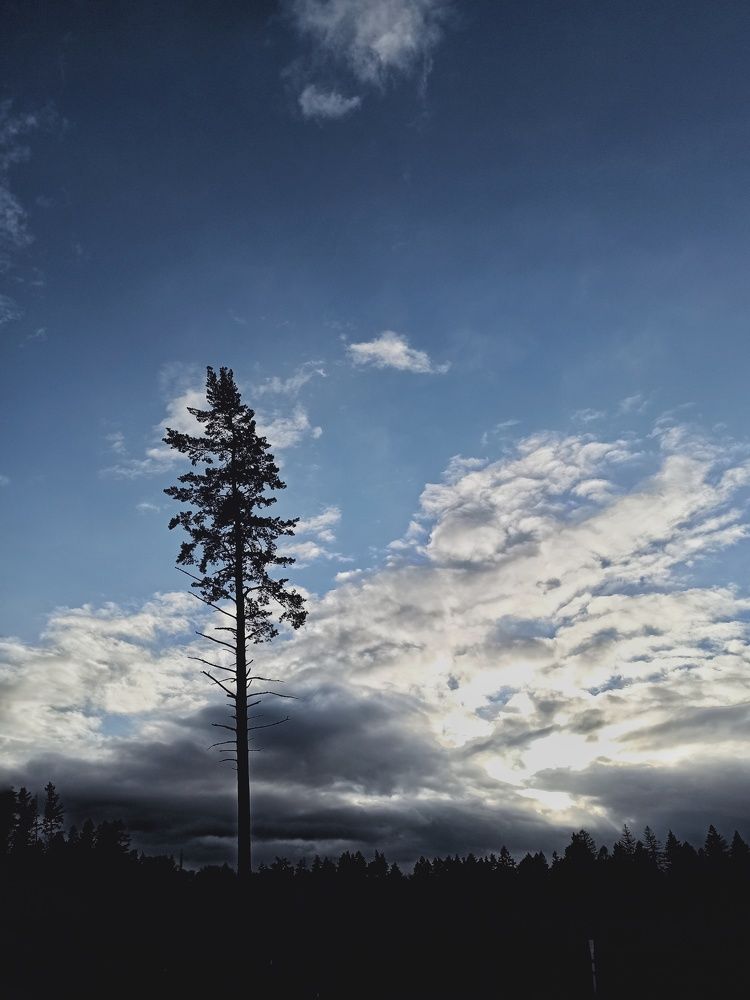 Photograph by Олеся Зеленщикова