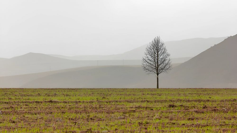 Фотография автора Maghsoud Moradi