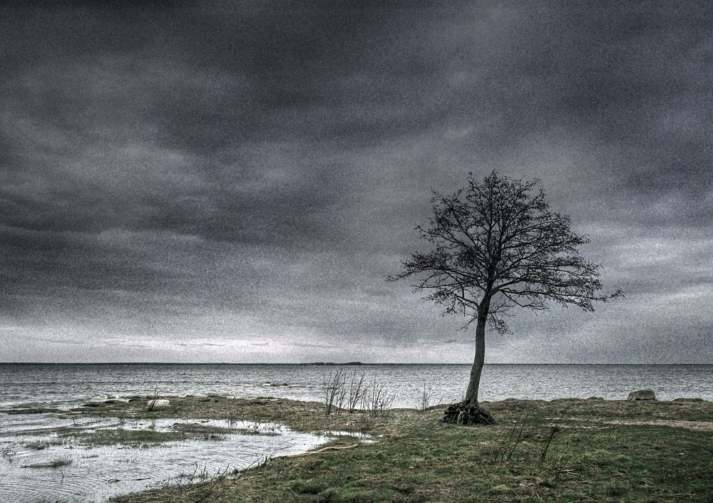 Photograph by Евгений Иванов
