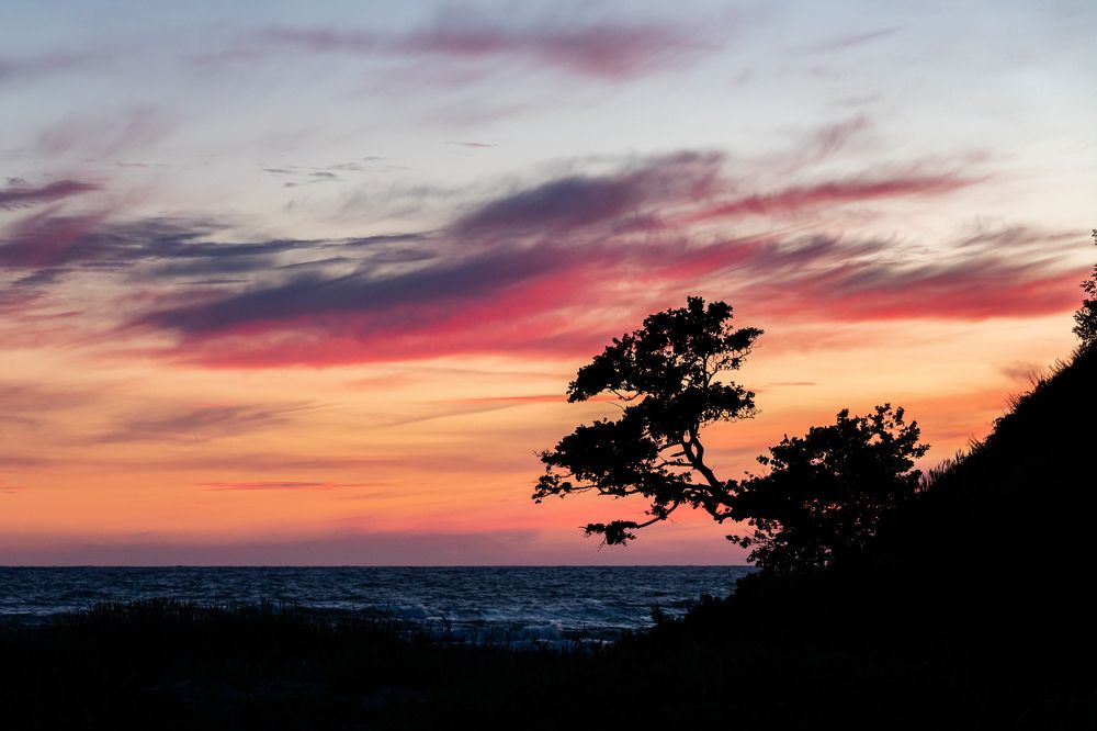 Photograph by Константин Чижов