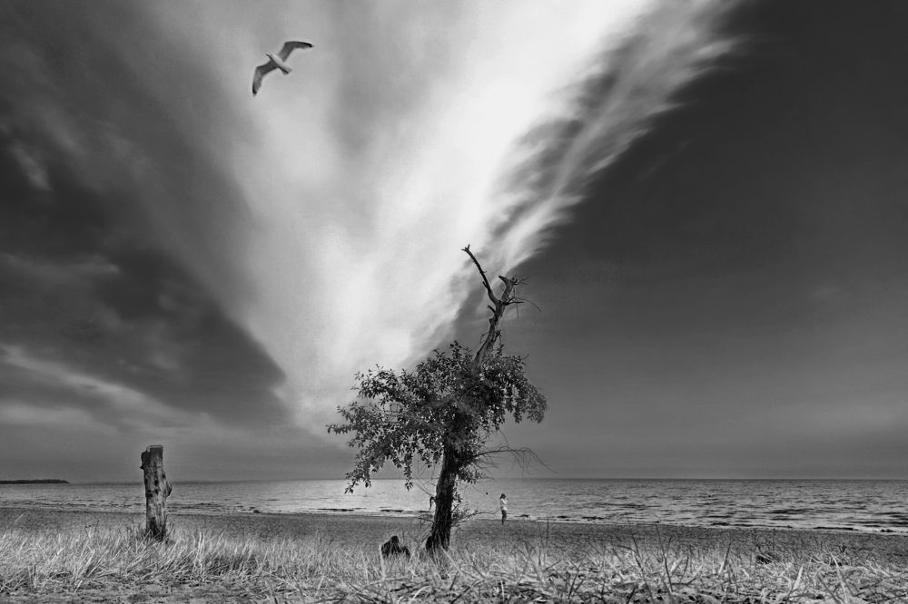 Photograph by Евгений Иванов