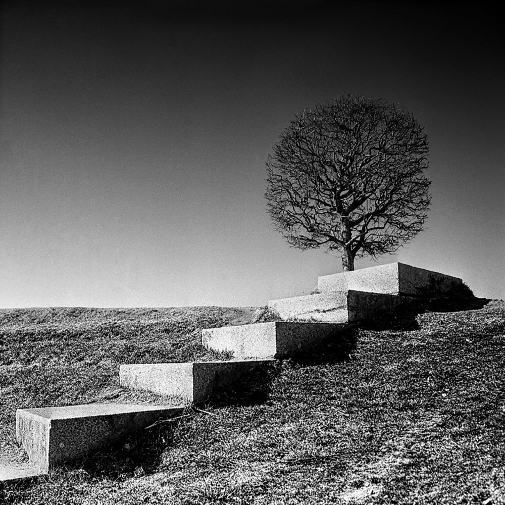 Photograph by Евгений Иванов