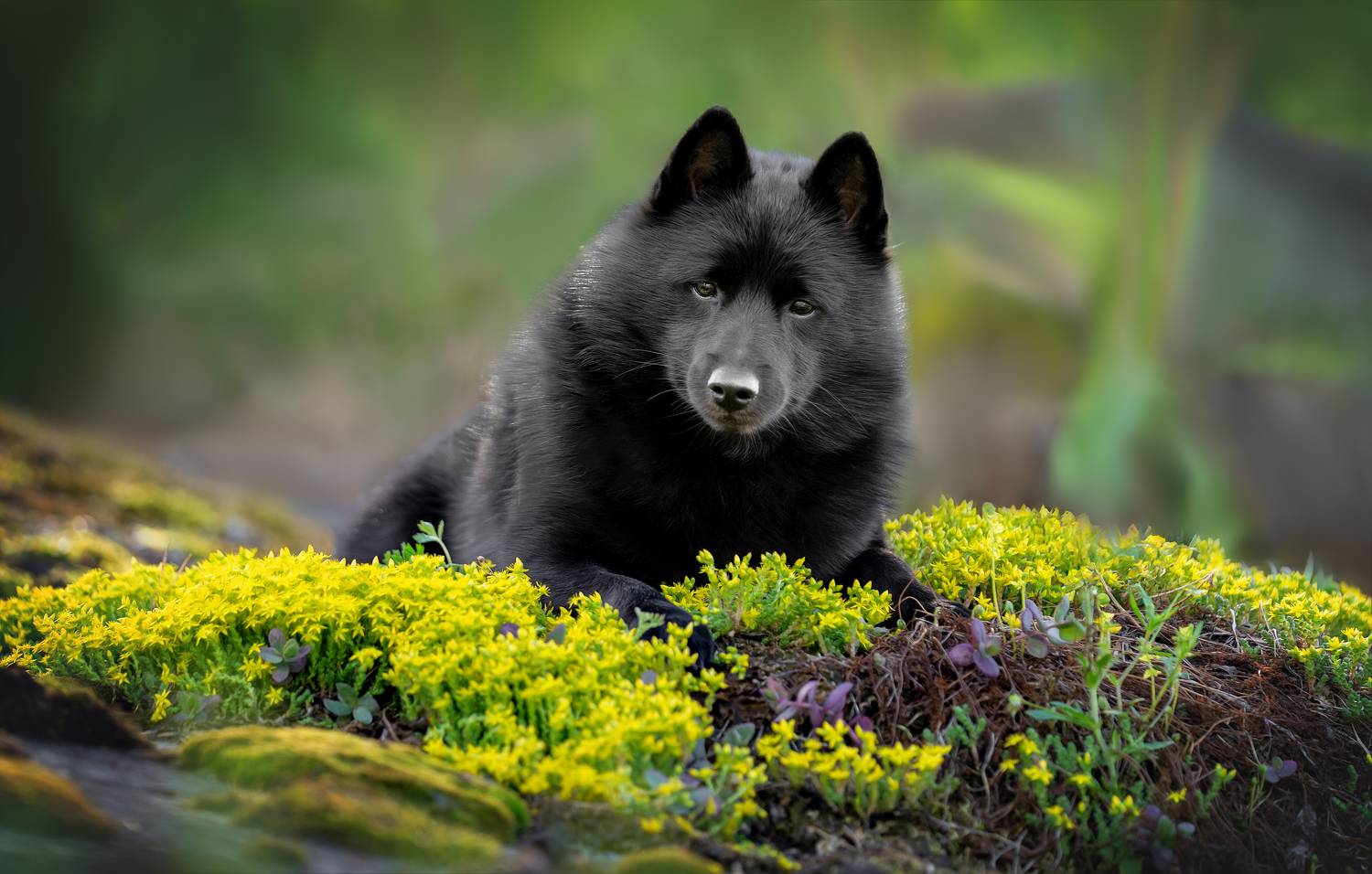 Фотография #10744039