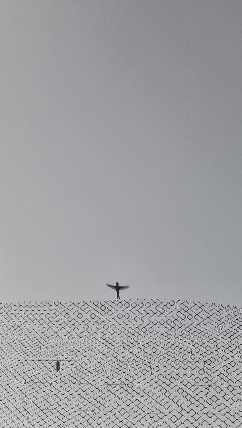 Photo #10744122