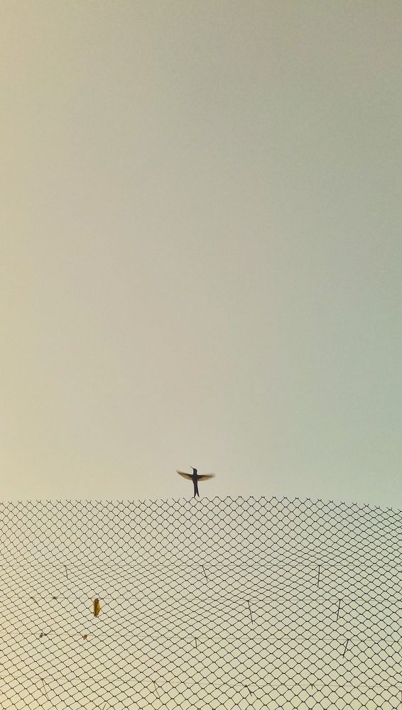 Photograph by LARISSA MARIA SILVEIRA SANTOS