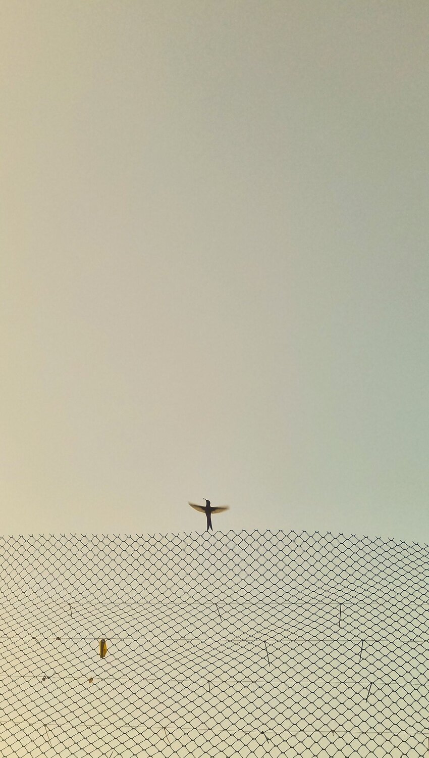 Photo #10744123